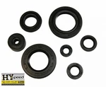 Hyspeed Engine Oil Seal Kit Fits Yamaha YFZ450 2004-2009 New. Fixed Price $16.23.